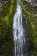 Fototapeta na wymiar Marymere Falls, Olympic National Park, Washington