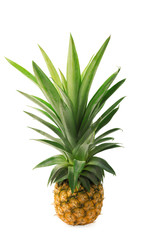 Fototapeta premium Ripe of pineapple isolated
