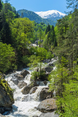 Fototapeta na wymiar Mountain river with waterfall flows in green forest. Caucasus mountains spring landscape.