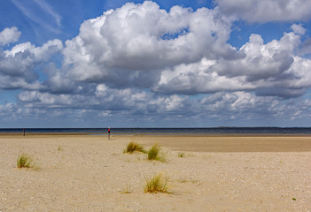 Beach Texel
