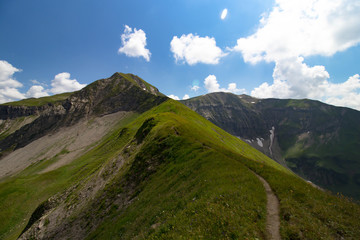 Fototapeta premium Älplesattel im Allgäu