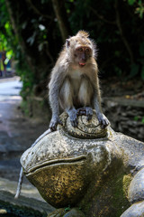 Monkey sitting on top of a frog statue in Monkey Forest at Ubud