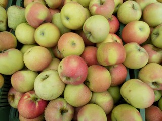 fresh apples and pears on a market