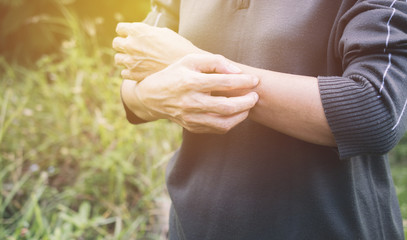 The women are scratching arms herself from itching in healthy concept on nature background.
