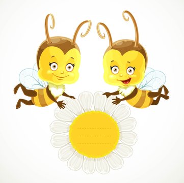 Two cute baby Bees keep a daisy flower with a field for text in the middle  isolated on a white background