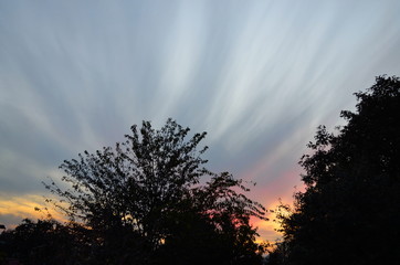 Clouds at sunset in the forest, fanning out from behind trees with colorful lights of the setting sun and silhouettes of tree crowns