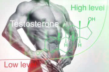 Muscular male body and testosterone hormone formula