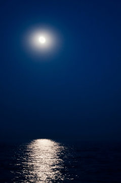 Fototapeta beautiful moonlit walk on the sea