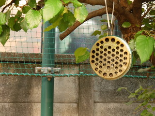 近づくな！我は虫除けだ。