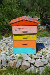 Colourful Chest Of Drawers Standing On Stones In Garden