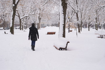 Fototapeta na wymiar In the city, a woman is walking in a park during a blizzard.