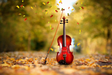 Geige im Park mit bunten Blättern