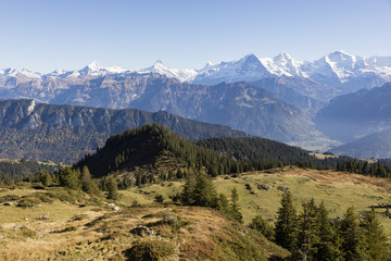 Obraz premium Autumn alpine landscape on the Niederhorn in the Bernese Oberland in Switzerland with Eiger, Moench and Jungfrau in the background