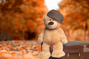 Teddy mit Koffer im Herbst im Park