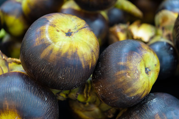 Asian Palmyra palm, Toddy palm, Sugar palm and Cambodian palm. Close up and soft focus.