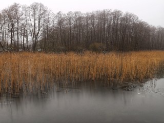 Winter | See im Nebel mit Eis | Plauer See | Mecklenburg