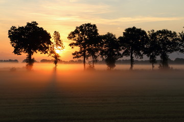 Fototapeta na wymiar Sunrise in the Netherlands state Overijsel