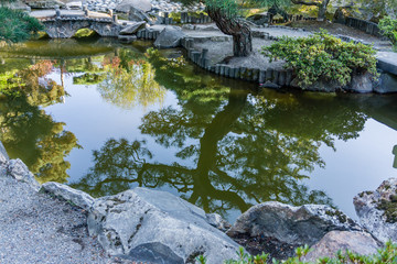 Garden Pond Reflection 2