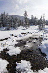 Fototapeta premium Partly frozen stream with a fresh snowy landscape in Switzerland