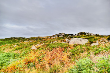 Dünenlandschaft Irland Dunes Landscape Ireland