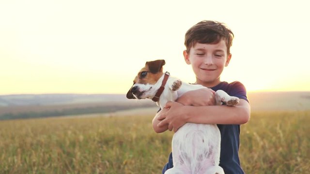 A slow motion happy smiling boy holds a dog Jack Russell Terrier on his hands and rejoices at the end of the day. Summer sunny landscape in the field. The child and his pet on vacation. Sun rays
