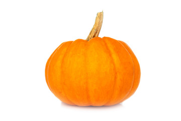 Pumpkin isolated on a white background.