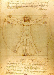 Vitruvian man.  Drawing of Leonardo da Vinci - obrazy, fototapety, plakaty