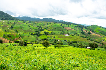 To plant crops on the hillside with cottage.