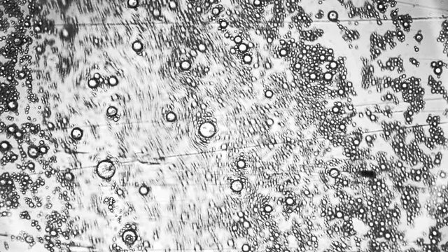 Bleach liquid flowing filmed under a microscope super macro shot