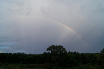 Fototapeta na wymiar Rainbow Against Storm Clouds