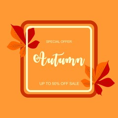 Autumn sale background layout decorate with chestnut leaves. Suitable for shopping sale or promo poster and frame leaflet or web banner.