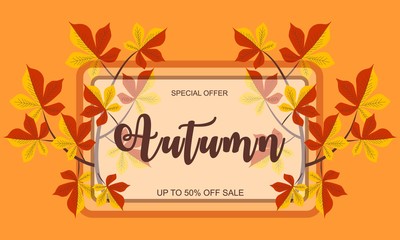 Autumn sale background layout decorate with chestnut leaves. Suitable for shopping sale or promo poster and frame leaflet or web banner.