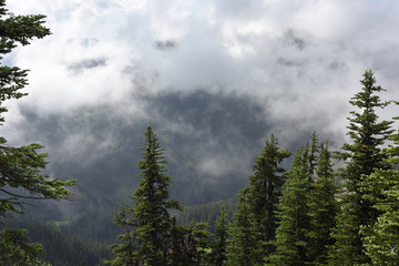 Drifting Clouds From Sunrise Point, Olympic National Park, Washington