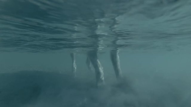 Dog walks in shallow water and catch crabs digging them out of sand, Red sea, Marsa Alam, Marsa Mubarak, Egypt (Split level, Underwater view, 4K / 60fps)
