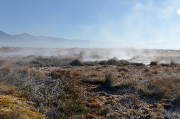 steam over hot springs at Hilltop Tub Whitmore Hot Springs, Mono county, California