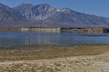wild birds and mountain views on the eastern shore of Lake Crowley Mono county, California