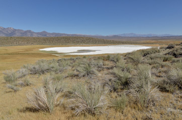 dry Alkali Lake view from Shepherd Hot Springs Whitmore Hot Springs, Mono county, California