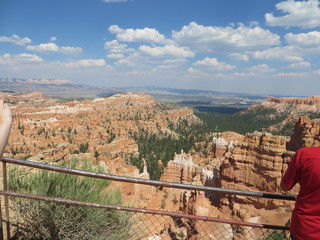 USA Landscape Bryce Canyon