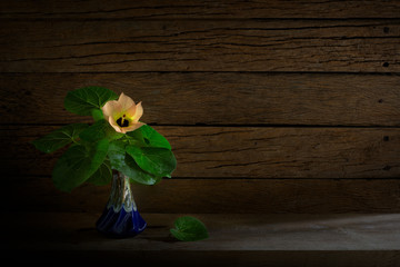Yellow flower with green leaf in the vase on the plank and old wooden wall