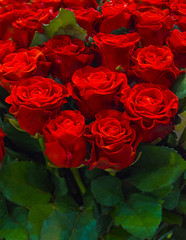 bouquet of red roses