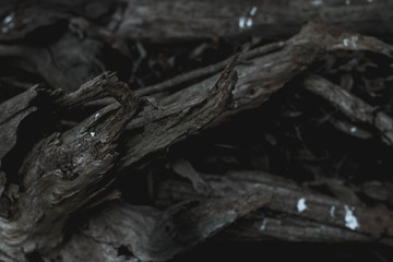 firewood