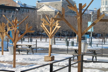 Vieux Port Montr&eacute;al.