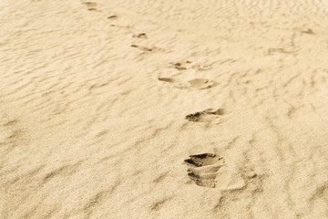 Footprints in the desert