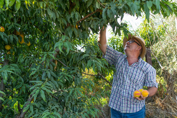 Ecological and traditional farming