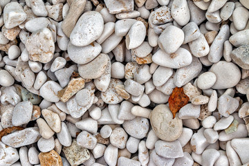 The texture of a pebble beach