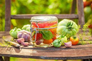 Tasty pickled tomatoes in small summer greenhouse