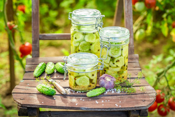 Natural pickled cucumbers on wooden chair in greenhouse
