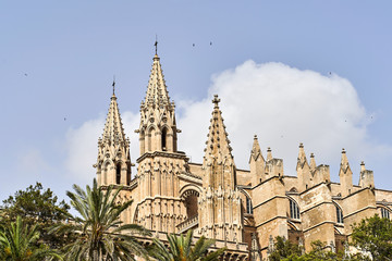 Fototapeta na wymiar La Seu, the gothic medieval cathedral of Palma de Mallorca island, Spain