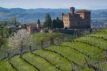 Spring view of the Castle of Grinzane Cavour Unesco heritage in the territory of the Langhe...