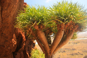 Scenes of Gran Canaria